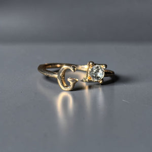 Gold stainless steel adjustable alphabet initial zircon ring for women personalized jewellery Aura Collection